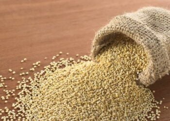 ¿Qué es la quinoa y qué tipos hay? Estos son sus beneficios y así es cómo se prepara