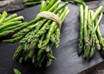 Cómo hacer los mejores espárragos trigueros cocidos, la receta fácil y rápida