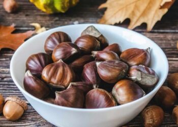 ¿Engordan las castañas? Esta es la cantidad que puedes comer