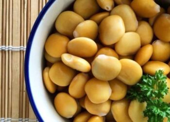 ¿Engordan los altramuces? Calorías y propiedades que no sabíamos de esta legumbre