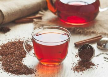 Té rooibos, estos son los beneficios del arbusto de origen africano de moda