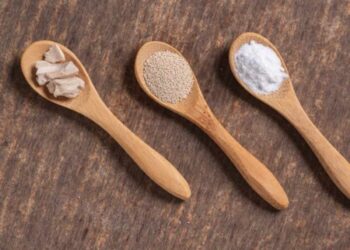 Levadura: qué es, para qué se utiliza y qué tipos hay