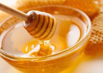 ¿La miel engorda? Mitos y verdades sobre el endulzante nutritivo