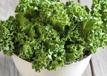 Kale: qué es y qué beneficios esconde esta col rizada
