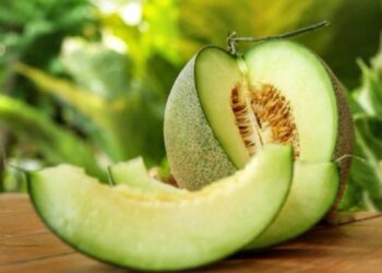 ¿Engorda el melón? Mitos de comer esta fruta por la noche