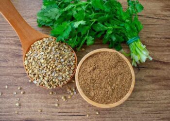 Cilantro: qué es y para qué sirve esta hierba aromática