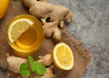 Infusiones que nos ayudan a adelgazar de manera saludable