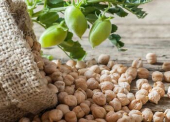 ¿Los garbanzos engordan? Mitos sobre esta legumbre rica en nutrientes