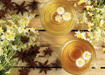 Beneficios de la manzanilla con anís. Qué esconde esta infusión tradicional