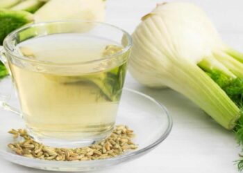 Infusión de hinojo. Beneficios de la infusión que ayuda a reducir los gases