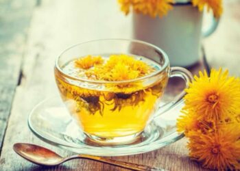 Diente de león: para qué sirve y cómo se prepara la infusión de esta planta herbácea