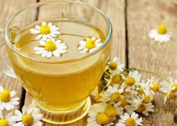 Manzanilla: propiedades y beneficios que nos aporta esta infusión