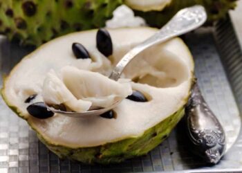 ¿La chirimoya engorda? Calorías de esta fruta subtropical
