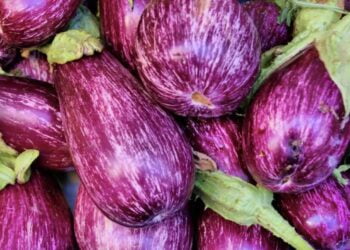 Este es el tiempo que duran las berenjenas en la nevera