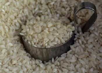 ¿Cómo calcular la cantidad de arroz por persona? Fácil y rapido
