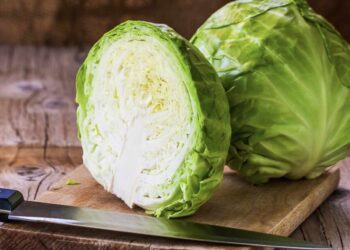 ¿Cuánto tiempo hay que cocer el repollo?