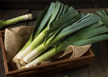 Aprovecha el puerro entero, desde las hojas verdes hasta la parte blanca y tierna