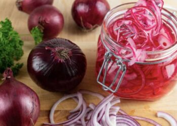 Cebolla encurtida casera fácil y rápida, el condimento ideal para muchas de tus recetas