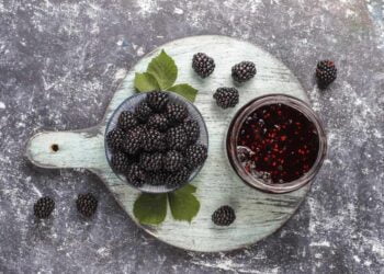 Mermelada de moras casera, receta fácil para untar en tus tostadas y decorar postres