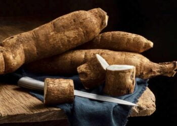 Yuca, ¿qué es y cuáles son sus beneficios?