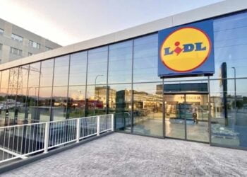 Deja de tirar comida con el electrodoméstico estrella y premiado de Lidl por menos de 25 euros