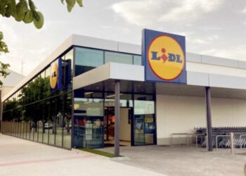 Cocina donde quieras con este chollazo de Lidl por menos de 40 euros