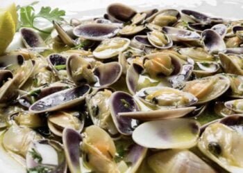 Coquinas a la marinera, la receta con más sabor a mar y más fácil de hacer