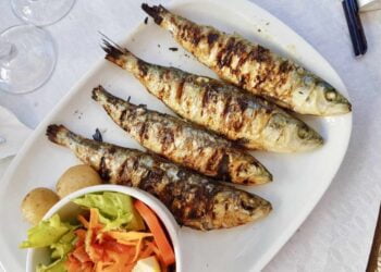 Cocinar las sardinas en este electrodoméstico es la mejor opción, apenas deja olor y es más limpio
