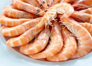 Langostinos cocidos, receta fácil para un resultado perfecto