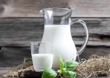 Mezcla la nata líquida para cocinar con este ingrediente para un plato más ligero y cremoso